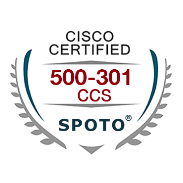 Cisco 500-301 Logo